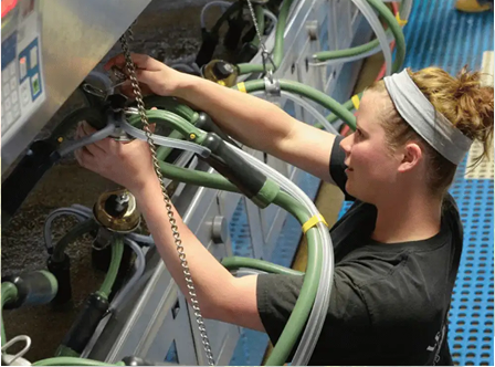 3 Signs It’s Time to Replace Your Milk Hose