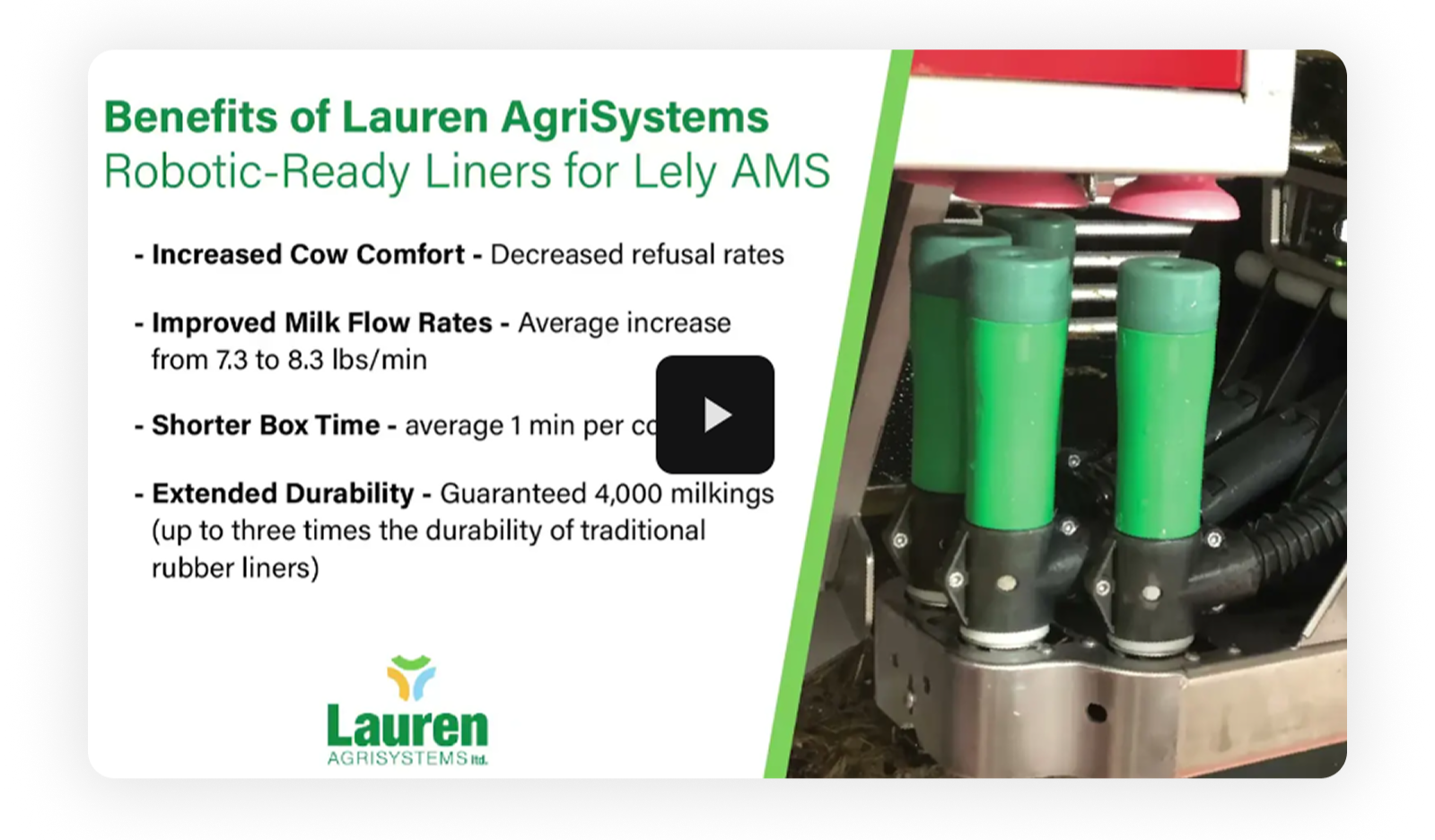 Load video: Lauren Milking Liners on Lely AMS